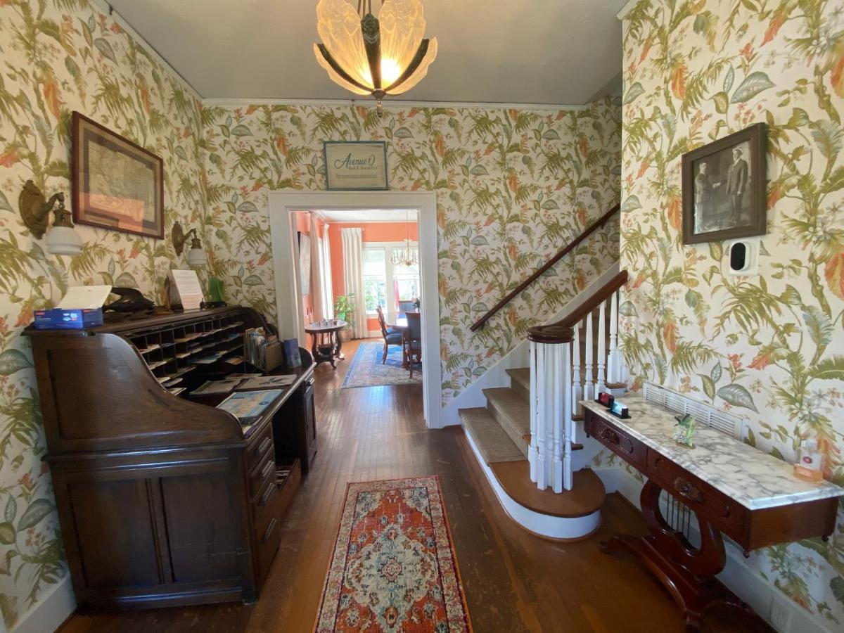 Avenue O Bed And Breakfast Galveston Exterior foto